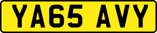 YA65AVY