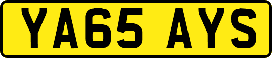YA65AYS