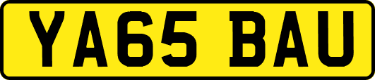 YA65BAU