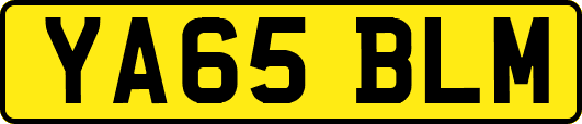 YA65BLM