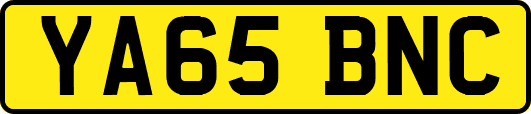 YA65BNC
