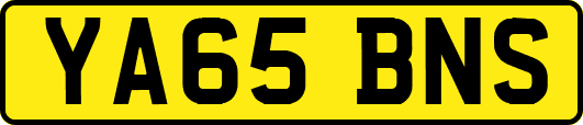 YA65BNS