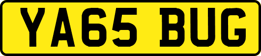 YA65BUG