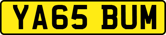 YA65BUM