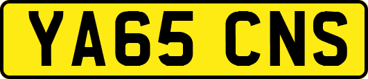 YA65CNS