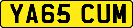 YA65CUM