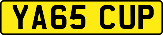 YA65CUP