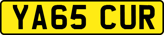 YA65CUR