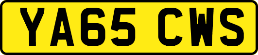 YA65CWS