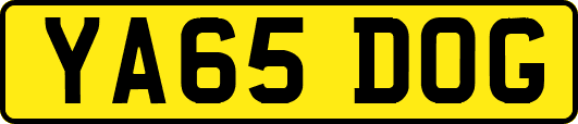 YA65DOG