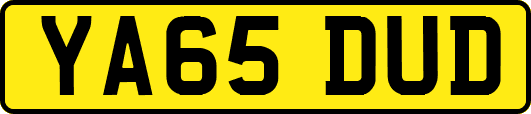 YA65DUD