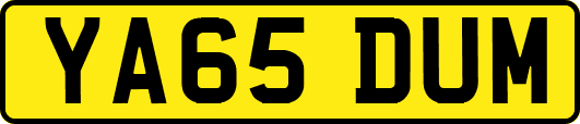 YA65DUM