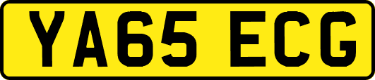 YA65ECG