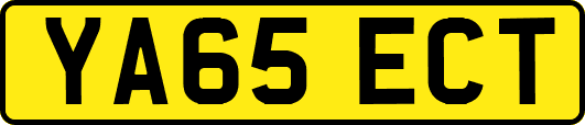YA65ECT