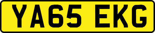 YA65EKG
