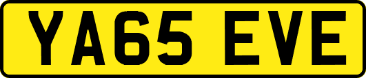 YA65EVE