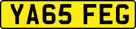 YA65FEG