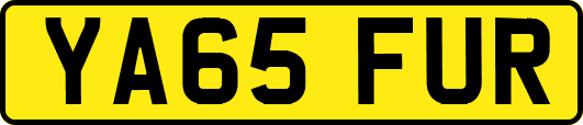 YA65FUR