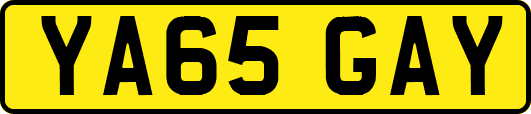 YA65GAY