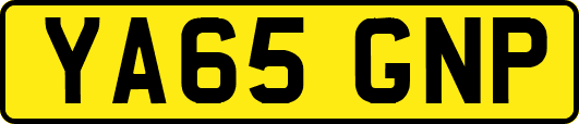 YA65GNP