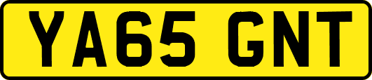 YA65GNT