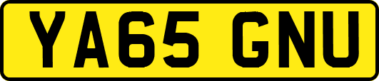 YA65GNU