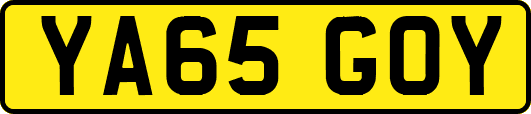 YA65GOY