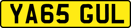 YA65GUL