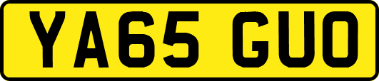 YA65GUO