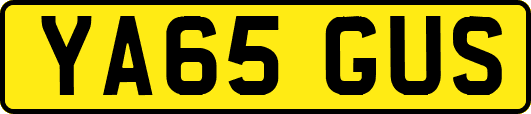 YA65GUS