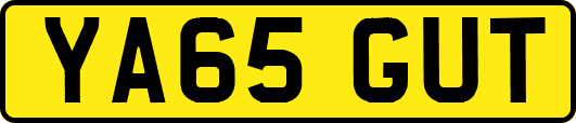 YA65GUT