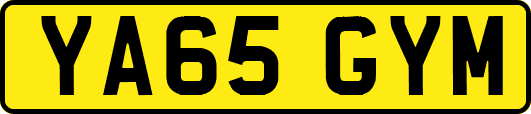 YA65GYM