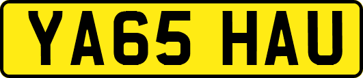 YA65HAU