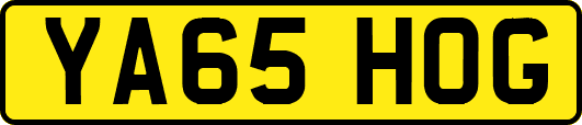 YA65HOG