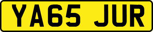 YA65JUR