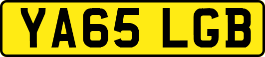 YA65LGB