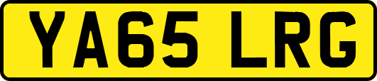 YA65LRG