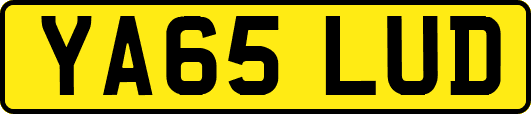 YA65LUD