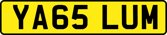 YA65LUM