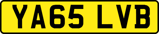 YA65LVB