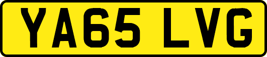 YA65LVG