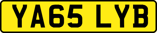 YA65LYB