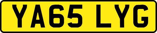YA65LYG