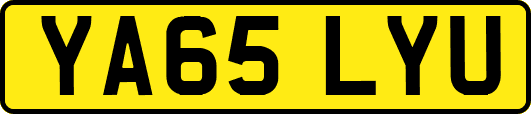 YA65LYU