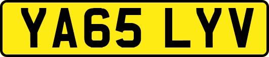 YA65LYV