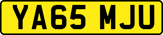 YA65MJU