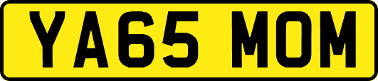YA65MOM