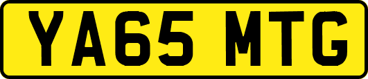 YA65MTG