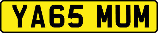 YA65MUM