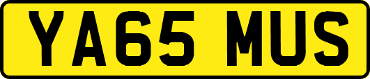 YA65MUS